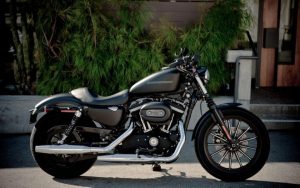 Sportster S